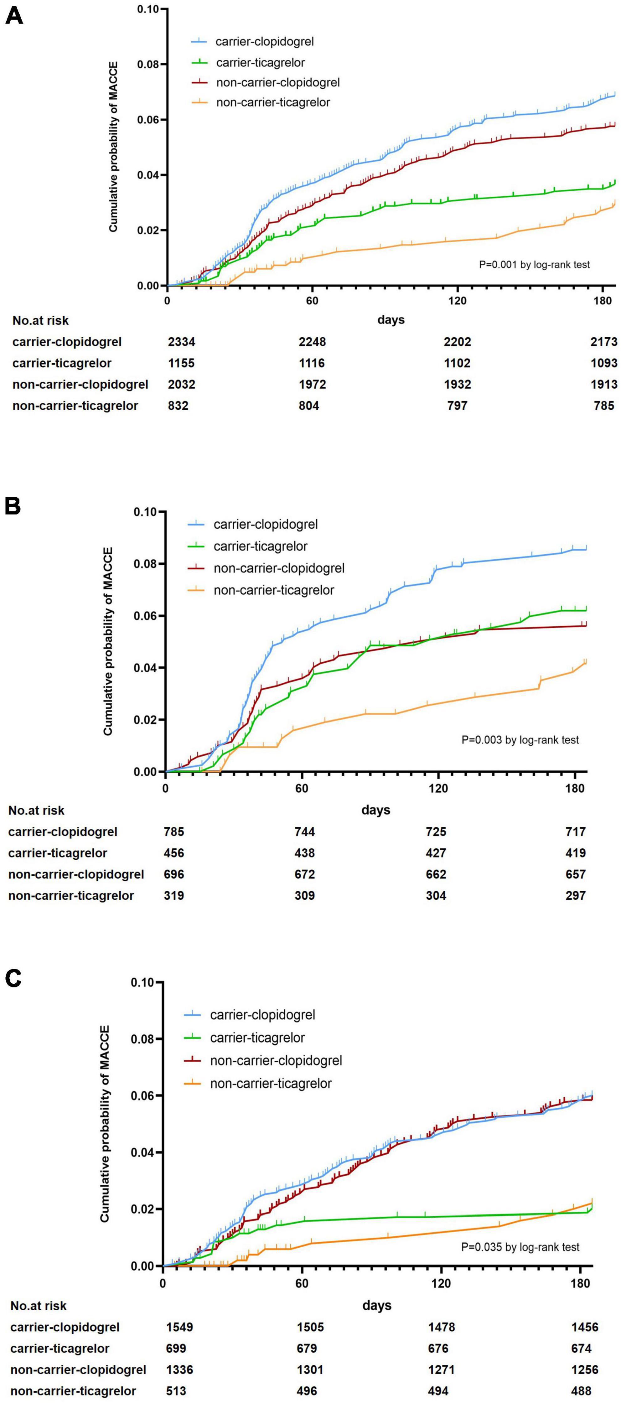 Influence of CYP2C19 genetic variants and smoking on dual antiplatelet efficacy in patients with coronary artery disease